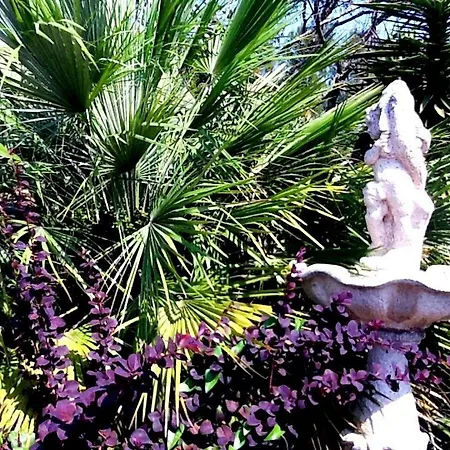 La Beloutiere * Porto-Vecchio (Corsica)